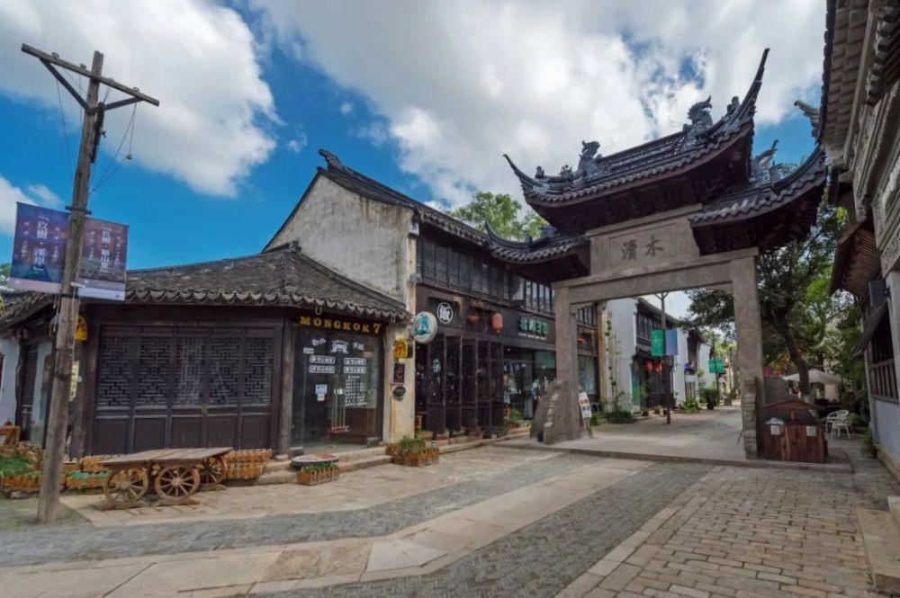 五彩鹦鹉救援